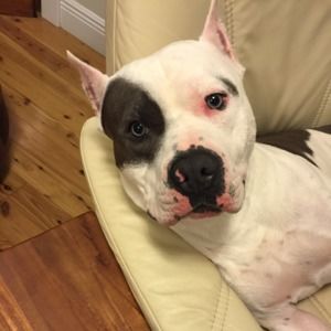 Meet your Posher, Lesley